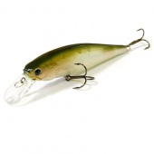 Lucky Craft Pointer 100 (0215 Shad 145)