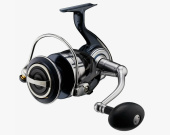 Daiwa 21 Certate SW