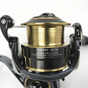 Daiwa Theory 3012H (2017)