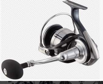 Daiwa 21 Certate SW