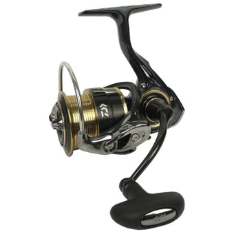 Daiwa Theory 2508PE (2017)