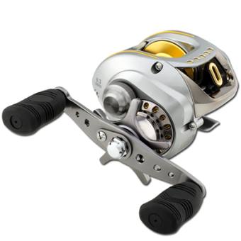Daiwa TD Zillion HLC 100HL